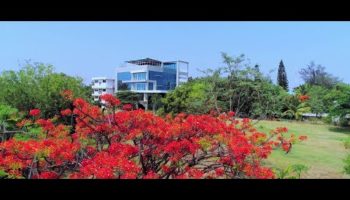 SONAROME - CORPORATE FILM