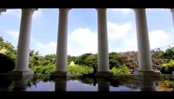 Alliance University - TVC(1Min)